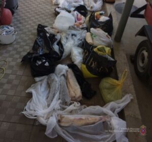 Около 103 килограммов рыбы запрещенных пород обнаружили в доме волгоградца