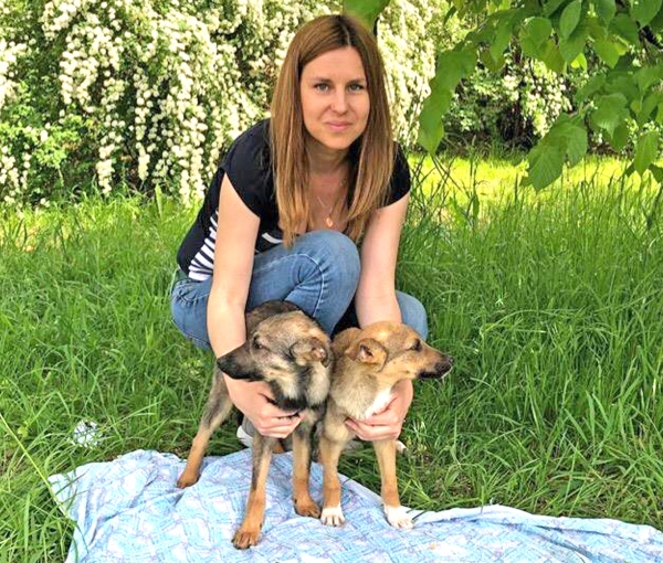 Щенок Малыш и кошачья мать-героиня ищут дом в Волгограде