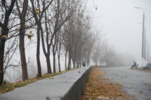 В Волгограде зима начинается с дождя со снегом и +5°
