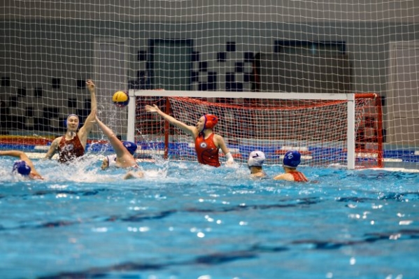 Женский «Спартак-Волгоград» обыграл «Динамо-Уралочку»