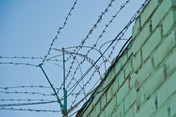 Волжанка проведет 4 года в колонии за обман клиентов под видом эзотерических услуг