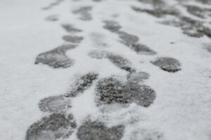 «Идешь, и песок сыпется»: как не упасть на льду зимой