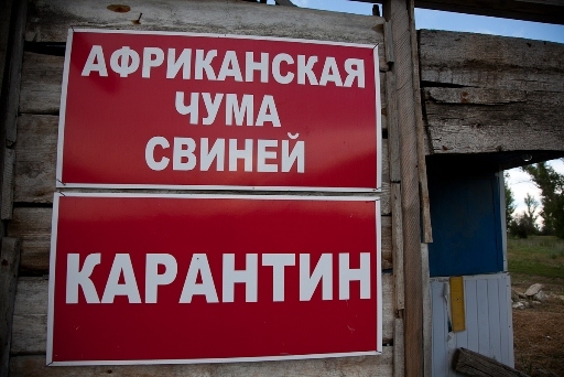 ЧС регионального характера введена в Волгоградской области