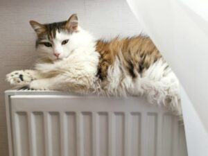 В Волгограде отопление включили в половине многоквартирных домов