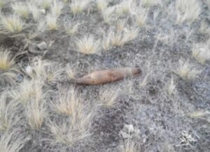 В Волгограде обезвредили авиабомбу времен ВОВ