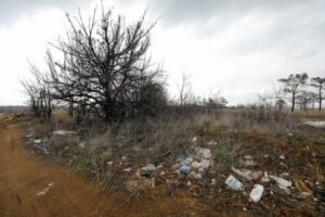 В Волгоградской области активно контролируются услуги по вывозу мусора