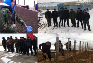 16 иностранных лжетуристов работали на полях под Волгоградом