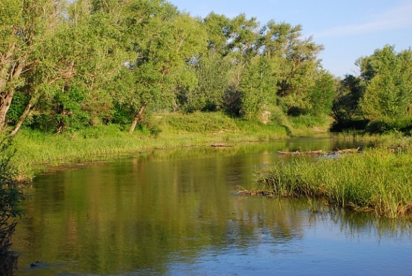 В Волгоградской области начался новый этап расчистки ерика Шумроватый