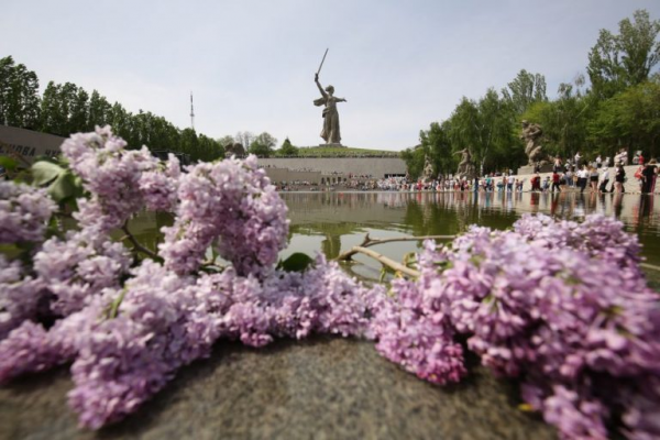 Электронный путеводитель по Волгограду появился в открытом доступе