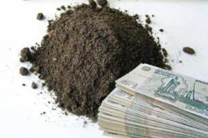 89 участков земли в Волгограде стоят не более 1 рубля