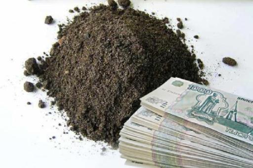 89 участков земли в Волгограде стоят не более 1 рубля