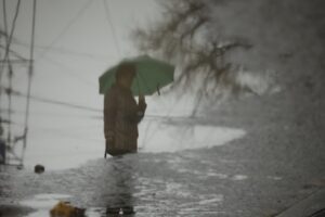 Мокрый снег с дождем ожидает волгоградцев 23 марта