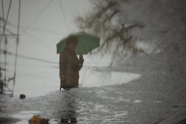 Мокрый снег с дождем ожидает волгоградцев 23 марта