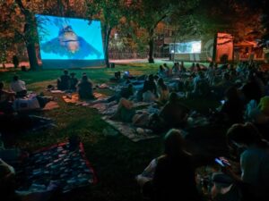 Волгоградцев зовут посмотреть кино под звездами в последний день лета
