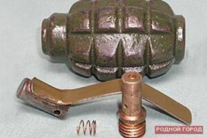 В волгоградском аэропорту в посылке нашли ручную гранату Ф-1