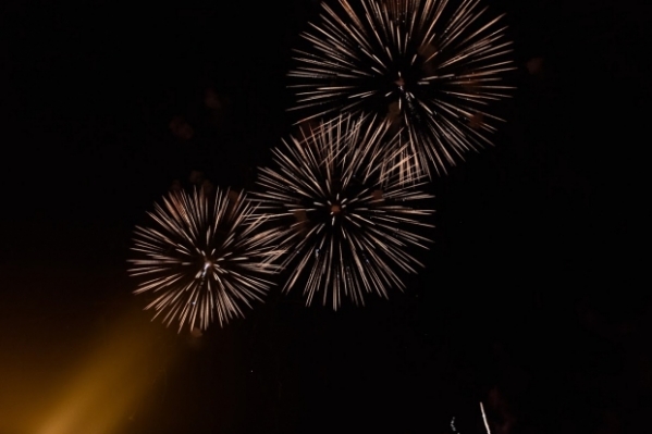Новогоднее небо над Волгоградом озарится пионами и цветущей сакурой