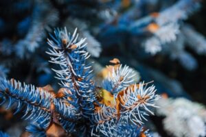 В Хеллоуин Волгоград и область ждут заморозки до -3 градусов и снег