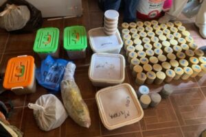 В Волгограде суд рассмотрит дело о незаконной ловле осетровых пород