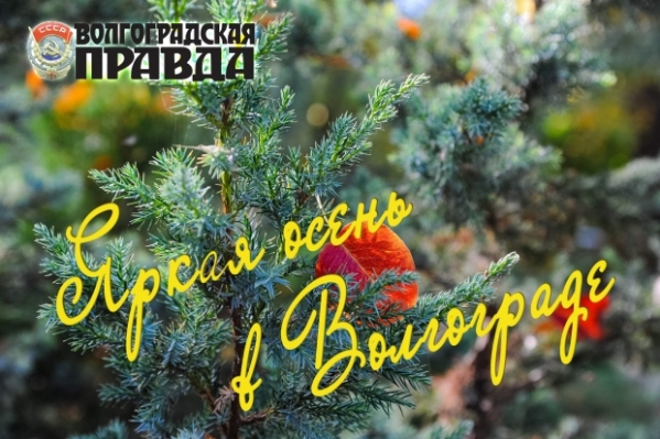 «Яркая осень в Волгограде»: издательский дом объявляет конкурс фотографий