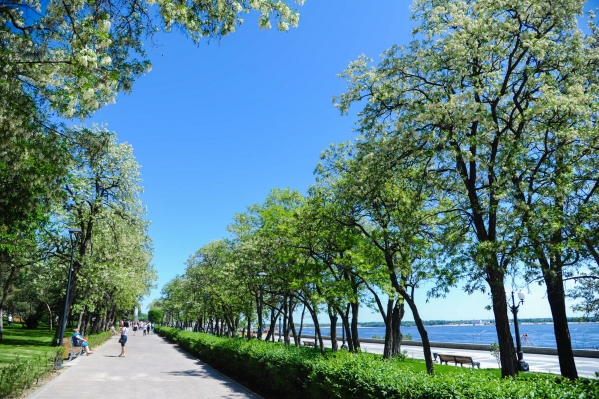 В Волгограде ожидается сухая и ясная погода