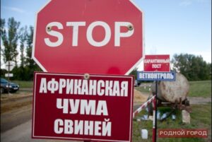 В Волгоградской области очаг АЧС выявлен в Жирновском районе
