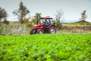 Под Волгоградом задержали мигрантов за незаконную работу в полях