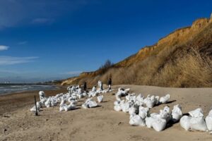 Волгоградцы помогают ликвидировать последствия разлива мазута в Черном море