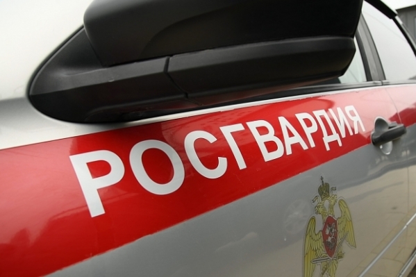 Росгвардейцы задержали подозреваемых в кражах в Волгоградской области
