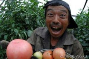 Под Волгоградом мужчина прописал в доме 160 мигрантов