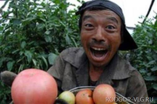 Под Волгоградом мужчина прописал в доме 160 мигрантов