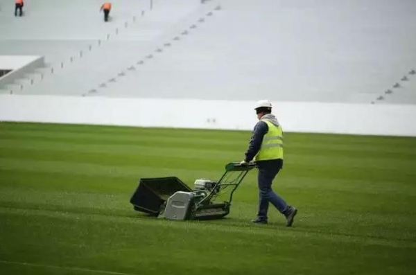Строительство стадиона «Волгоград Арена» завершено