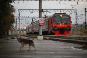 Поезд сбил женщину под Волгоградом