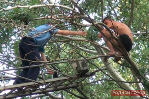 Спасатели сняли мужчину с верхушки дерева в Волжском