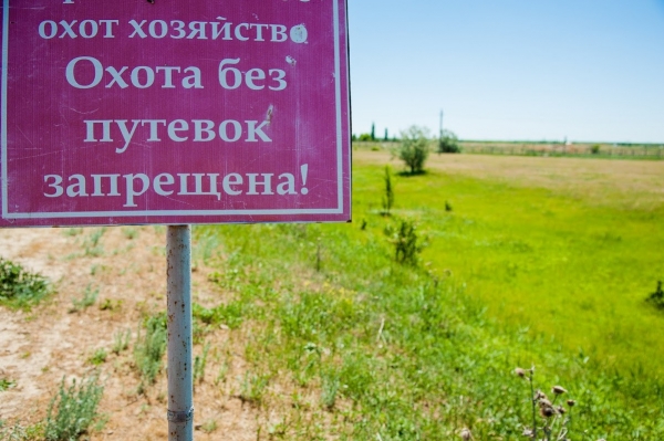 Волгоградцы за 6 месяцев незаконно поохотились на 26 млн рублей