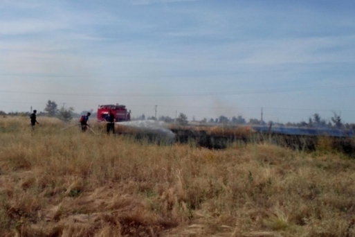 Под Волгоградом локализован крупный ландшафтный пожар