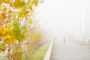 Выходные дни в Волгоградской области будут туманными и ветреными