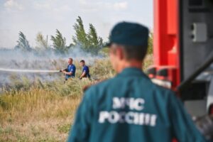 Из-за детской шалости под Волгоградом сгорели 20 тюков сена