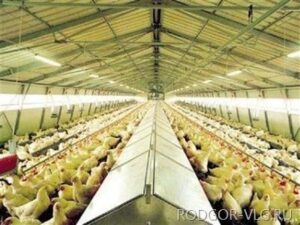 В Волгоградской области птицефабрика загрязнила отходами бесхозный участок
