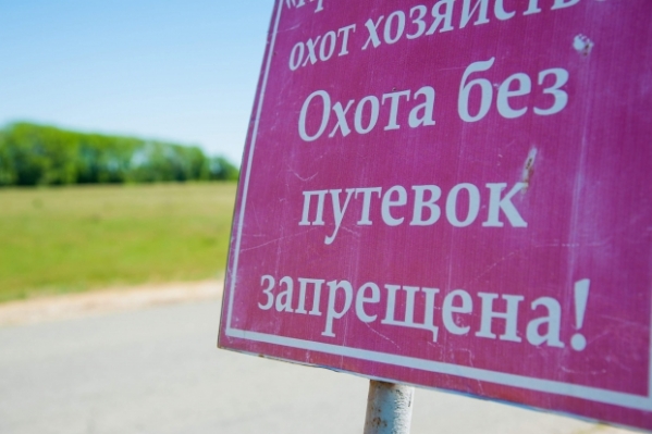 Двум убийцам сайгака из Волгоградской области светит колония