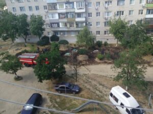 В Советском районе из-за любителей шашлыков  сгорел палисадник