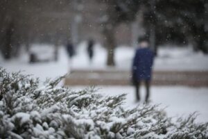 В Волгограде сохранится снежная и ветреная погода