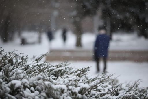 В Волгограде сохранится снежная и ветреная погода