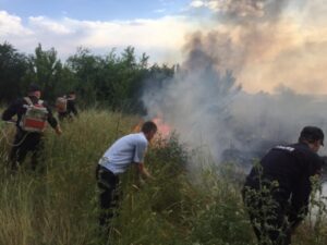 В Волгоградской области из-за окурка пришлось тушить 80 гектаров травы