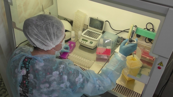 В Волгоградской области 84 человека за неделю заразились опасным вирусом