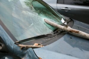 Дерево упало в Волгограде сразу на четыре автомобиля