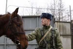 В Волгоградской области на границе с Казахстаном задержали всадника