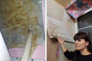 В Волгограде многодетная семья борется за коммунальное счастье