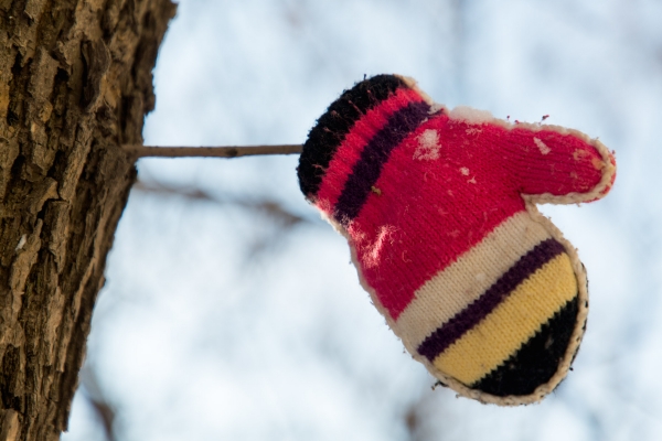 В Волгограде на ноябрьские «каникулы» похолодает до -2