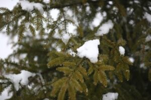 Волгоградцам стоит ждать мороза и снега 22 декабря