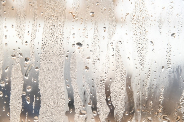 Дождливые выходные ожидают жителей Волгоградской области